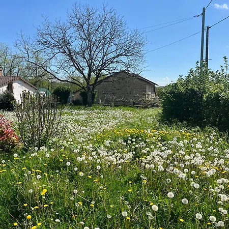 L'Atelier Aux Fleurs Sauvages Rebeuse Full Of Nature Corgnac-sur-l'Isle Exterior photo