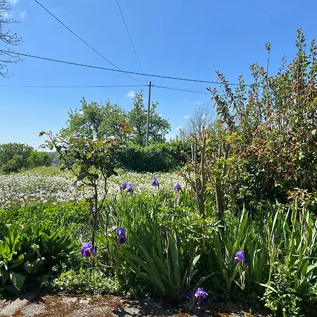 L'Atelier Aux Fleurs Sauvages Rebeuse Full Of Nature Corgnac-sur-l'Isle Exterior photo