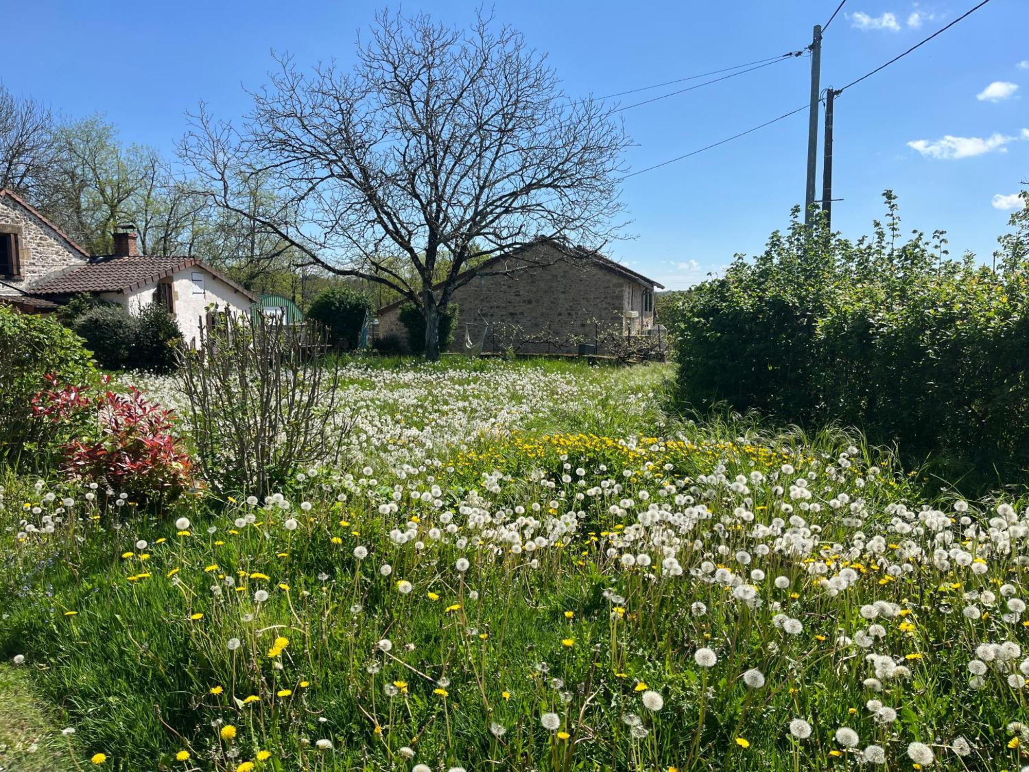 L'atelier Aux Fleurs Sauvages Rebeuse Full Of Nature Apartment Corgnac-sur-l'Isle