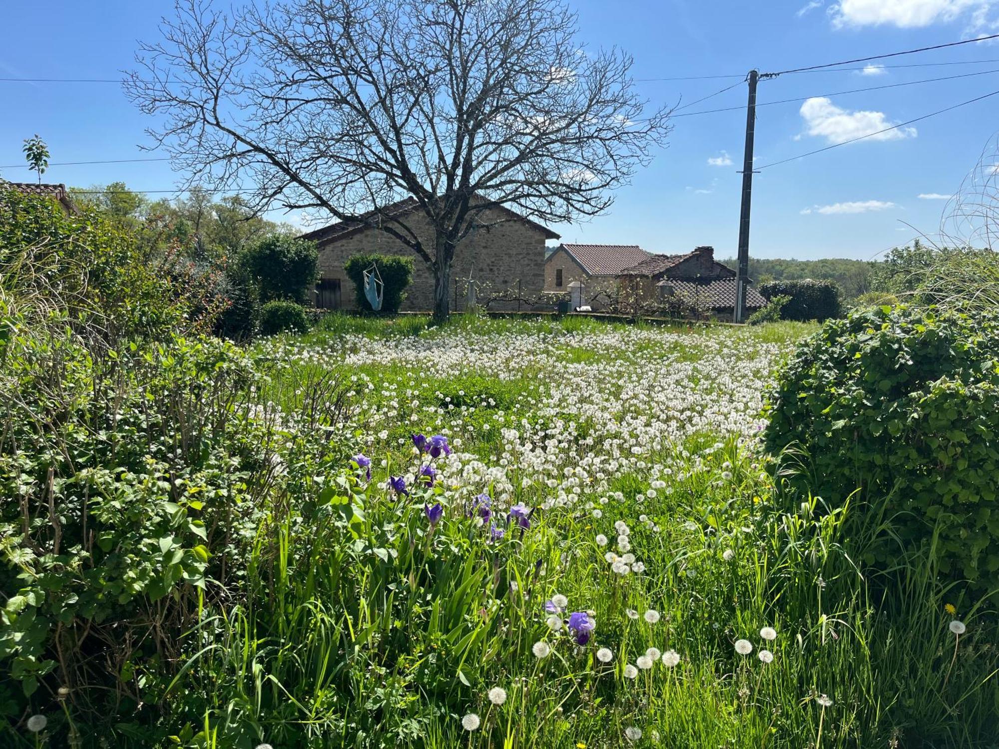 Apartment L'atelier Aux Fleurs Sauvages Rebeuse Full Of Nature Corgnac-sur-l'Isle
