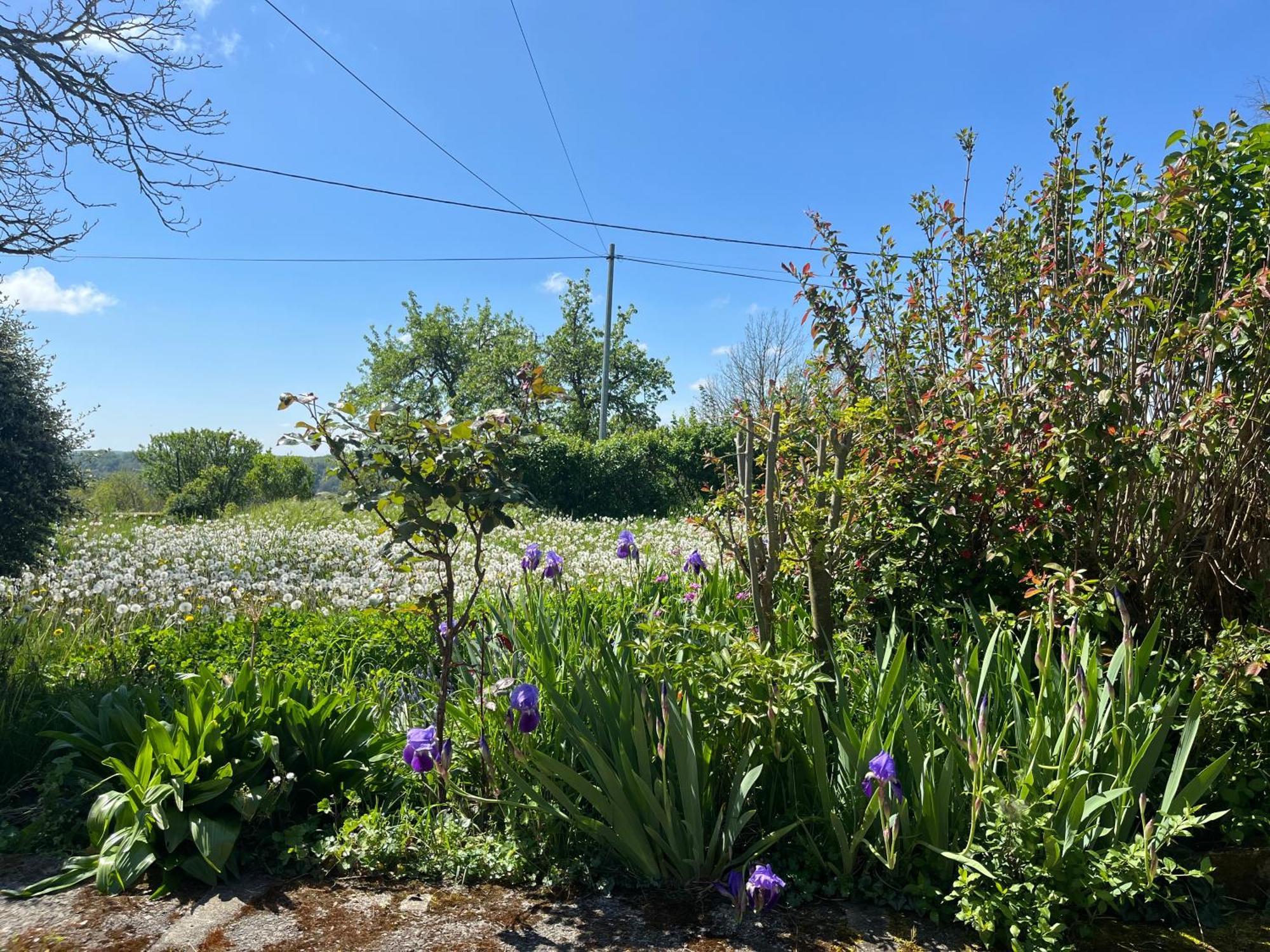 L'atelier Aux Fleurs Sauvages Rebeuse Full Of Nature Apartment Corgnac-sur-l'Isle